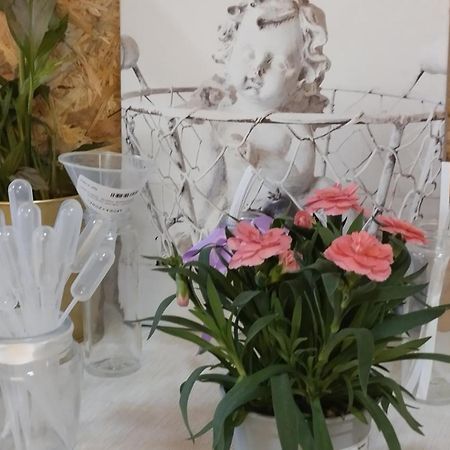 Le Laboratoire Shabby Chic De La Parfumerie Du Manoir Chavagne Екстериор снимка